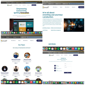 Portfolio image